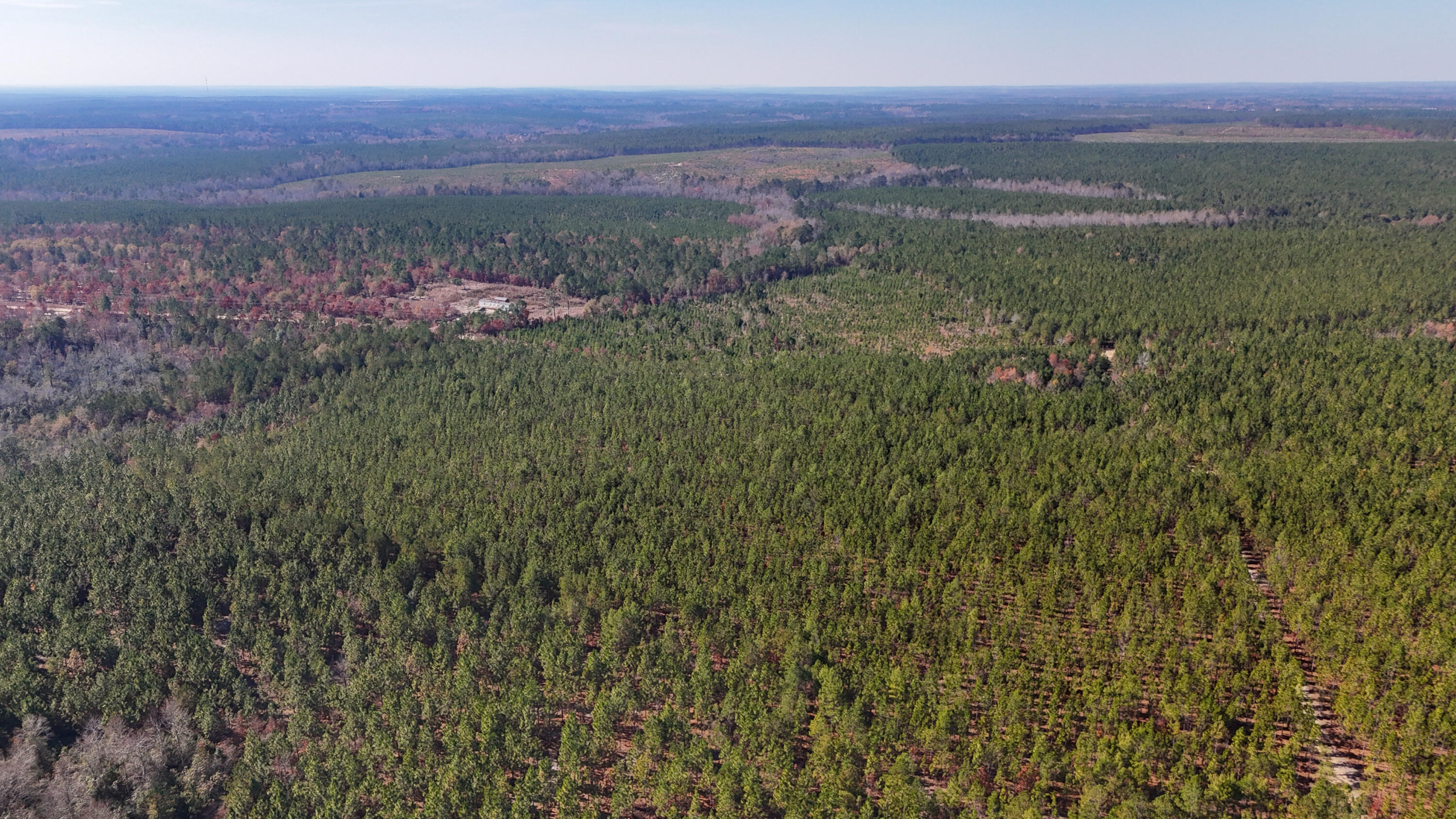 0 Beaver Dam Road Cassatt, SC 29032 - Photo 14 of 14 Compass South Land Sales Prickly Pear-14