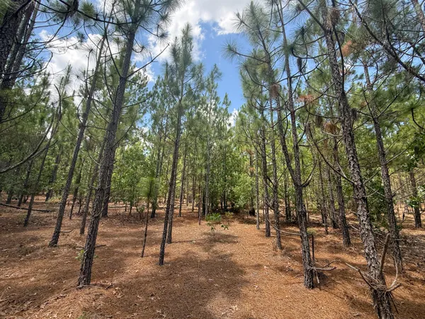 $354,040 | 0 Beaver Dam Road, Cassatt, SC 29032