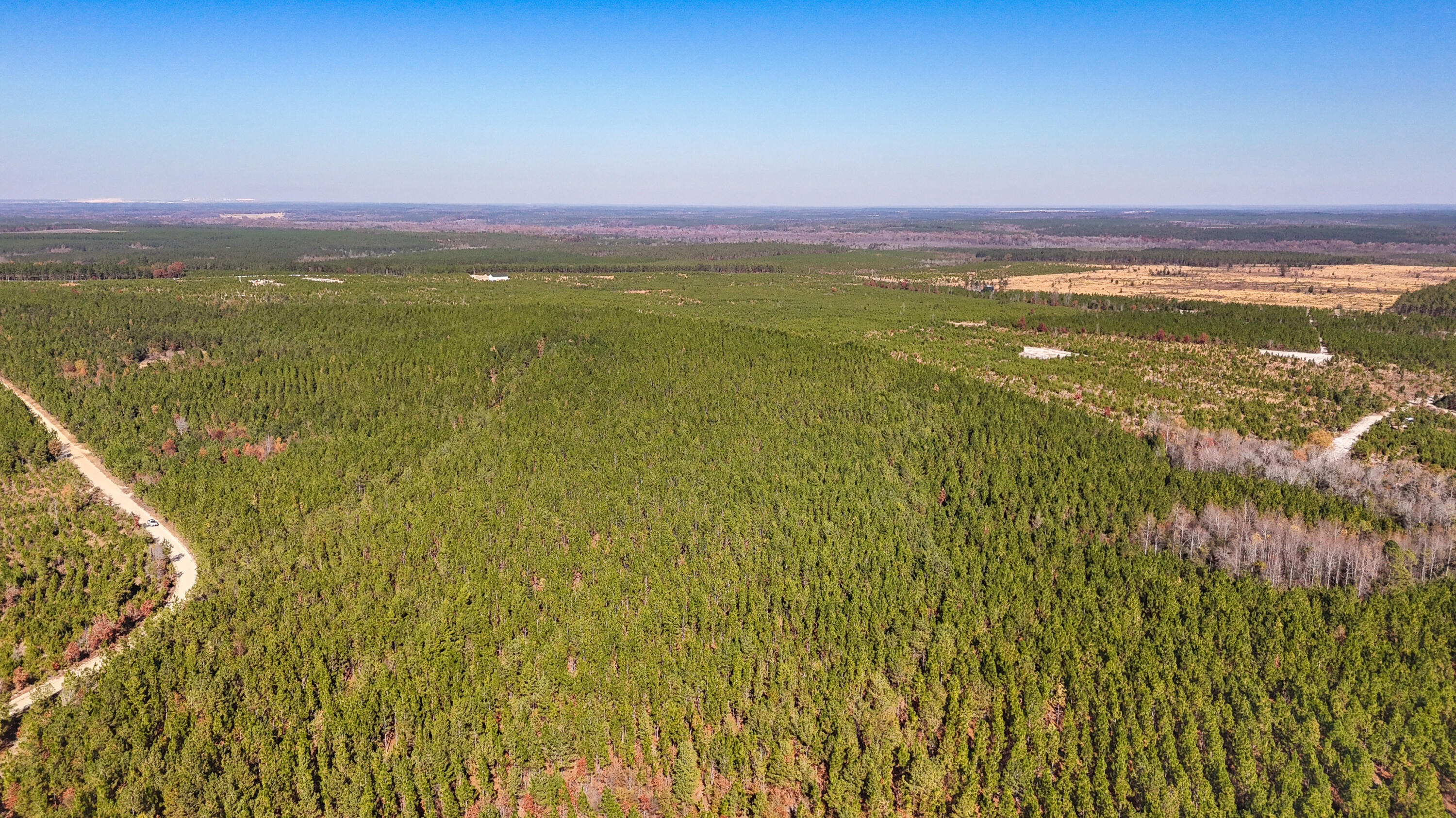 0 Beaver Dam Road Cassatt, SC 29032 - Photo 9 of 14 Compass South Land Sales Prickly Pear-09