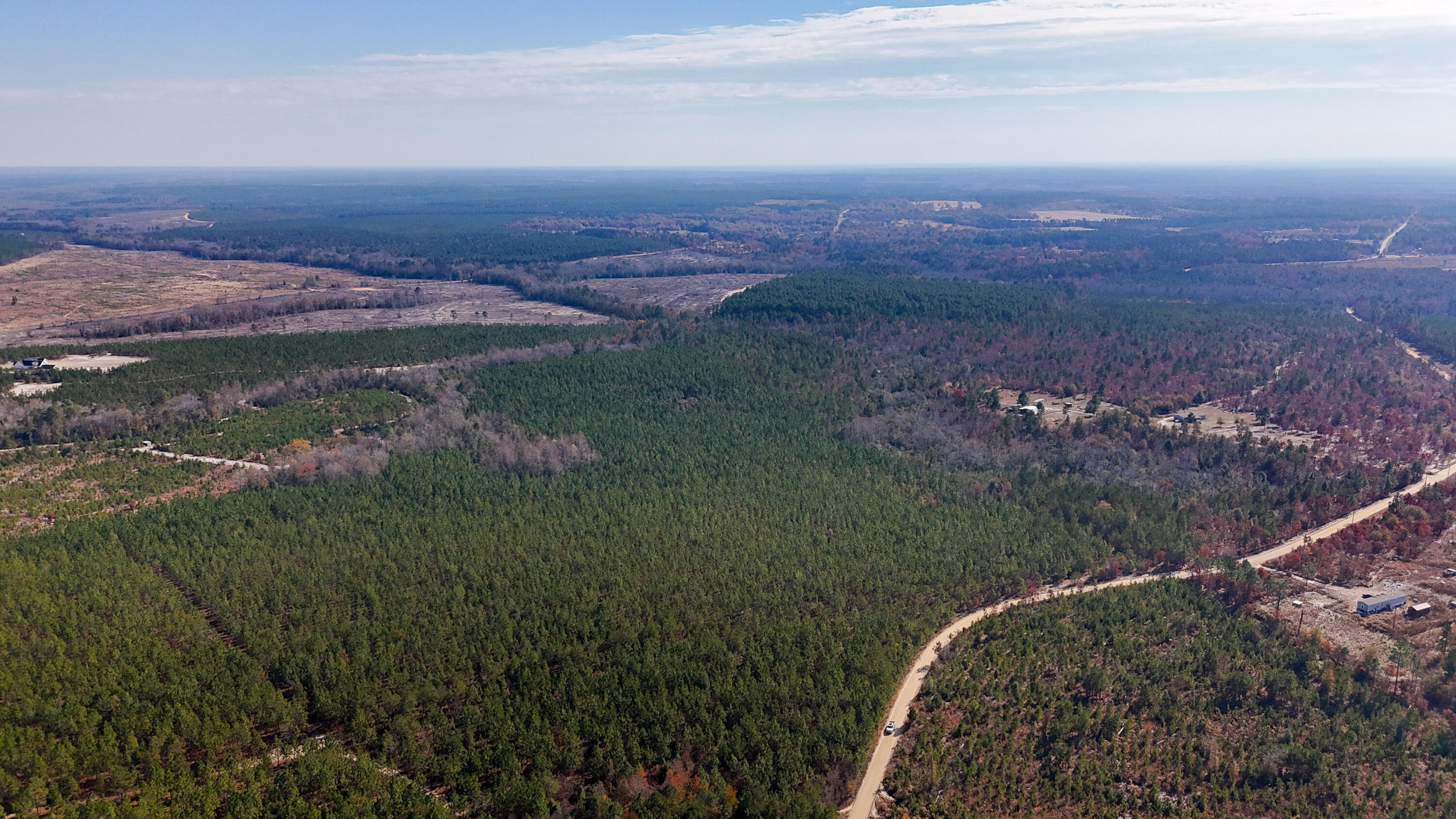 0 Beaver Dam Road Cassatt, SC 29032 - Photo 10 of 14 Compass South Land Sales Prickly Pear-10