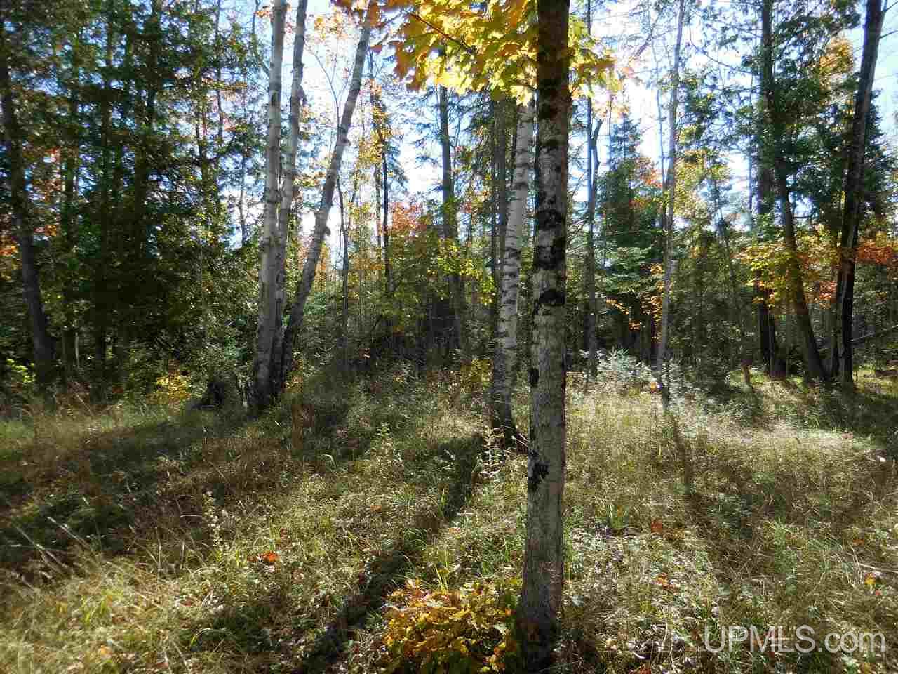 2795 Rice Road Gulliver, MI 49840 - Photo 15 of 27 Gallery Image 15