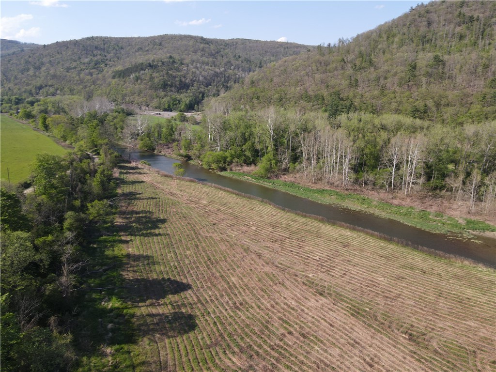 Lot 3 McChesney Road Cameron, NY 14819 - Photo 13 of 21