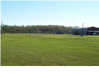 4050 North Riceland Road Rayne, LA 70578 - Photo 2 of 2 Additional Photo