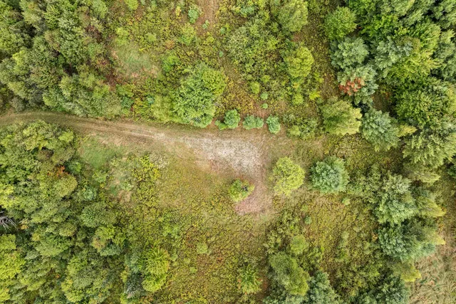 $39,900 | Lot 1 Morel Road, Lancaster, NH 03584