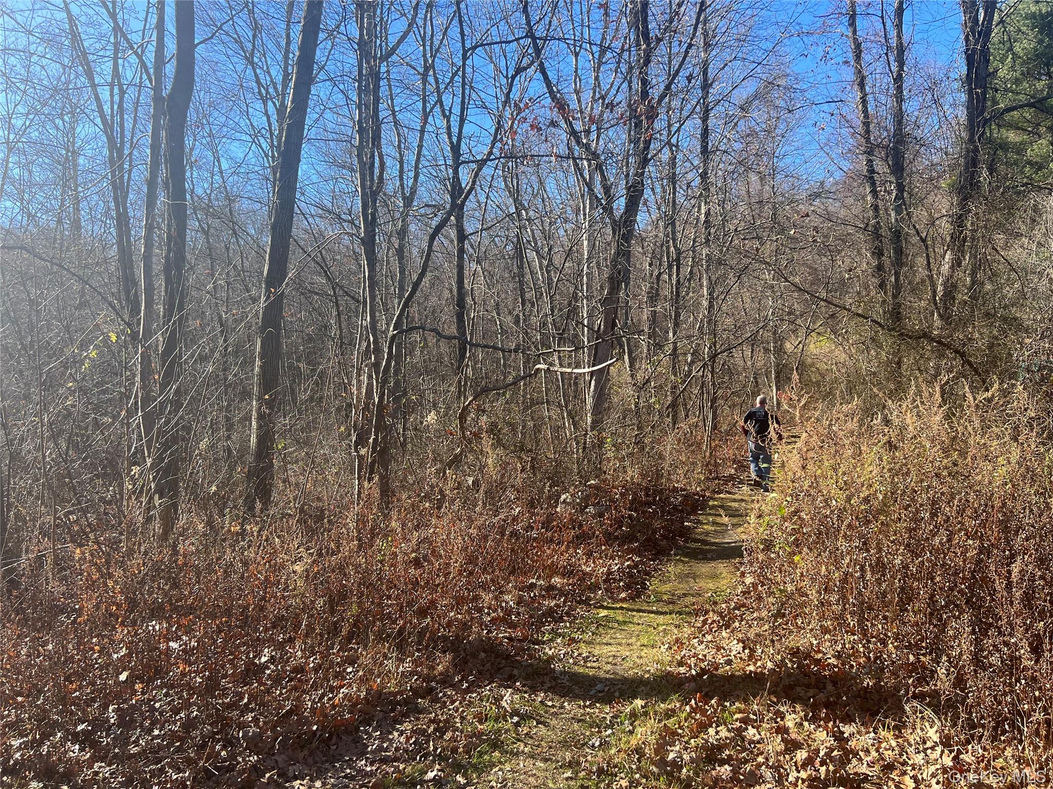 Moon Road Putnam Valley, NY 10579 - Photo 1 of 2 a view of a yard