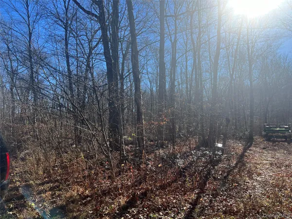 $54,500 | Moon Road, Putnam Valley, NY 10579