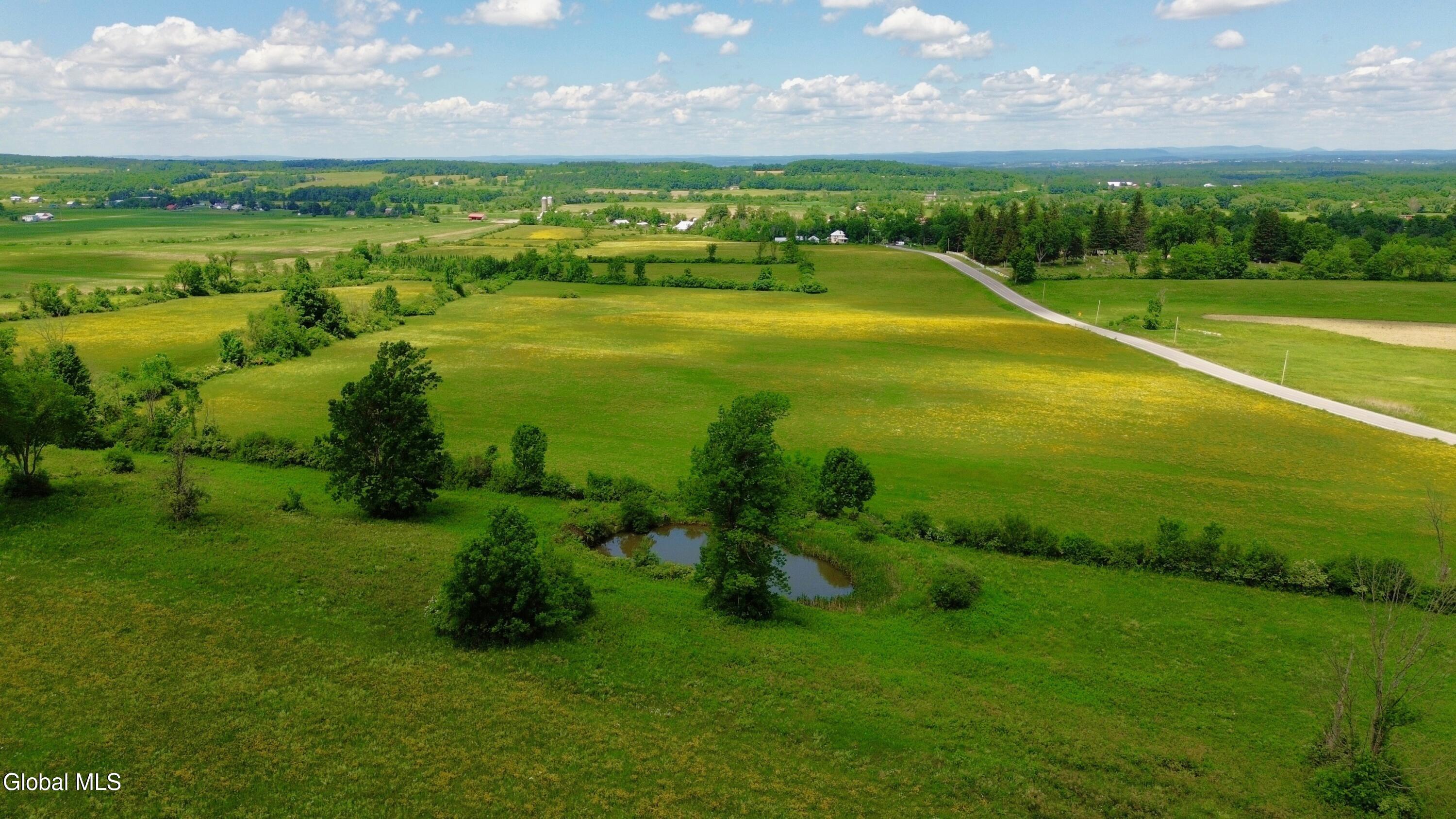 564 West Ames Road Ames, NY 13317 - Photo 19 of 40 DJI_0083