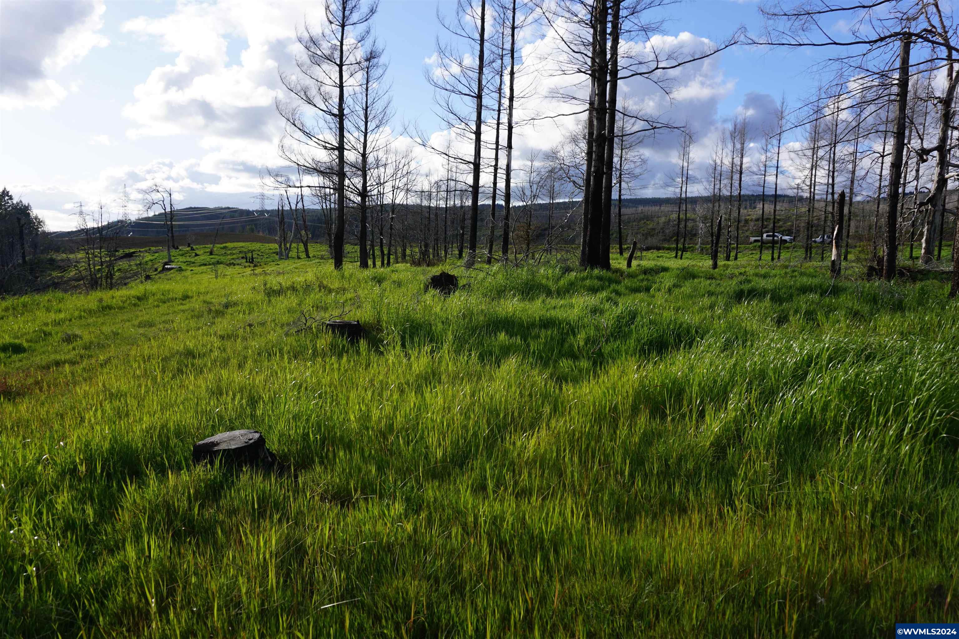 900 Wagner Road Lyons, OR 97358 - Photo 27 of 30