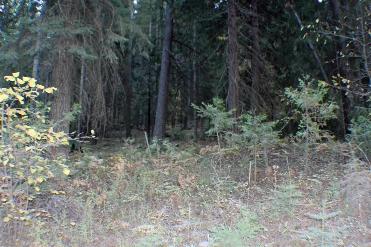 35 B Sugar Pine Road Weed, CA 96094 - Photo 4 of 9 Gallery Image 4