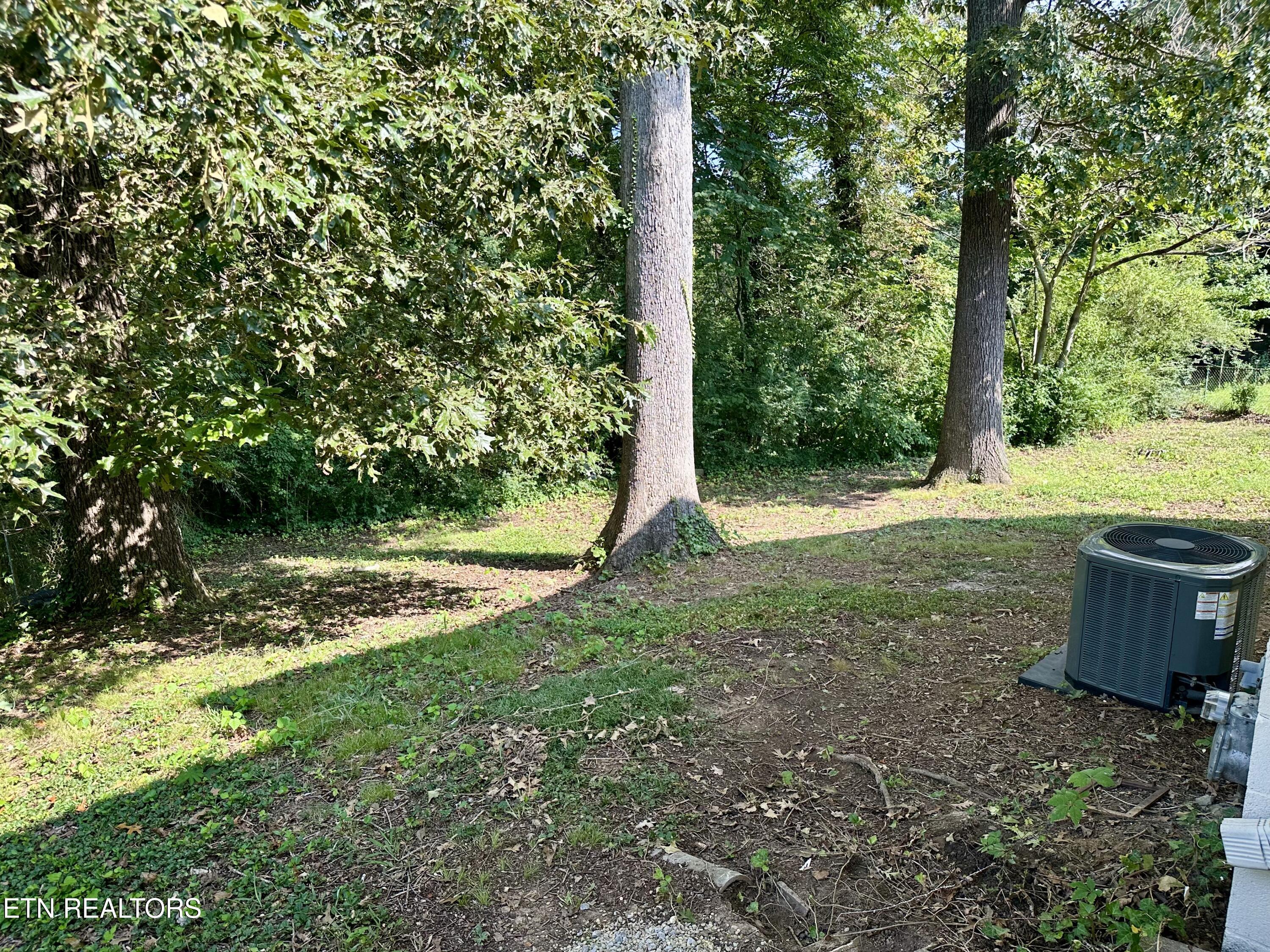 109 Nasson Lane Oak Ridge, TN 37830 - Photo 16 of 18 IMG_7234