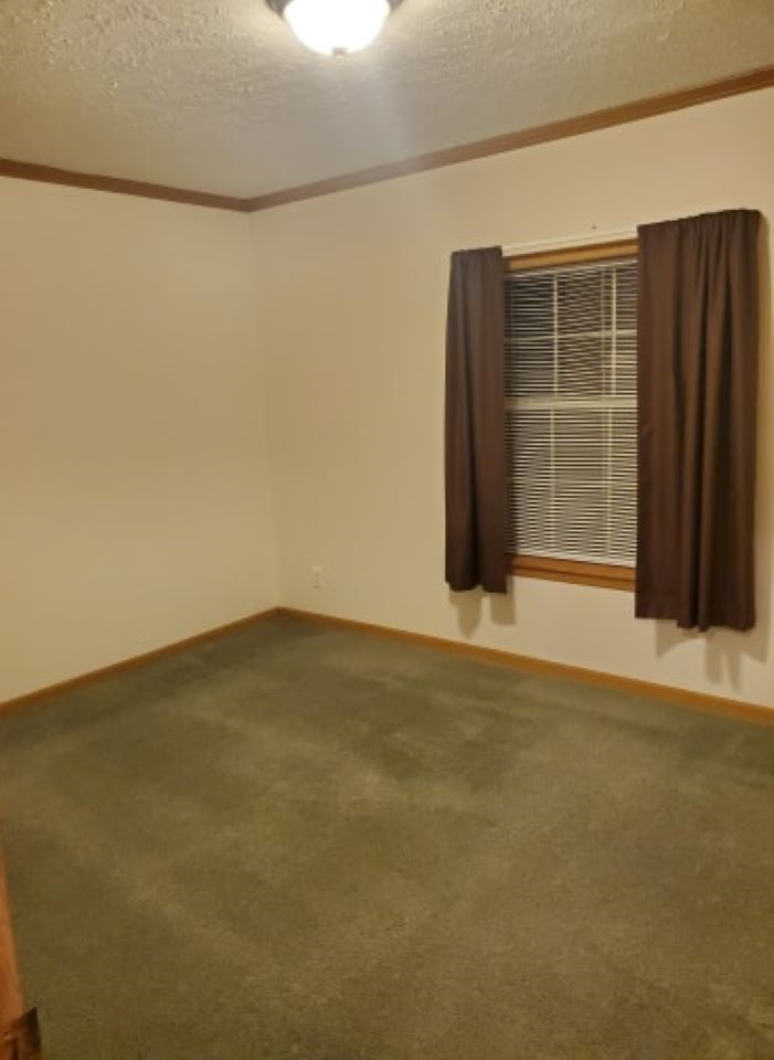 6485 North Lewis Road Coleman, MI 48618 - Photo 24 of 29 1871597-23.JPG