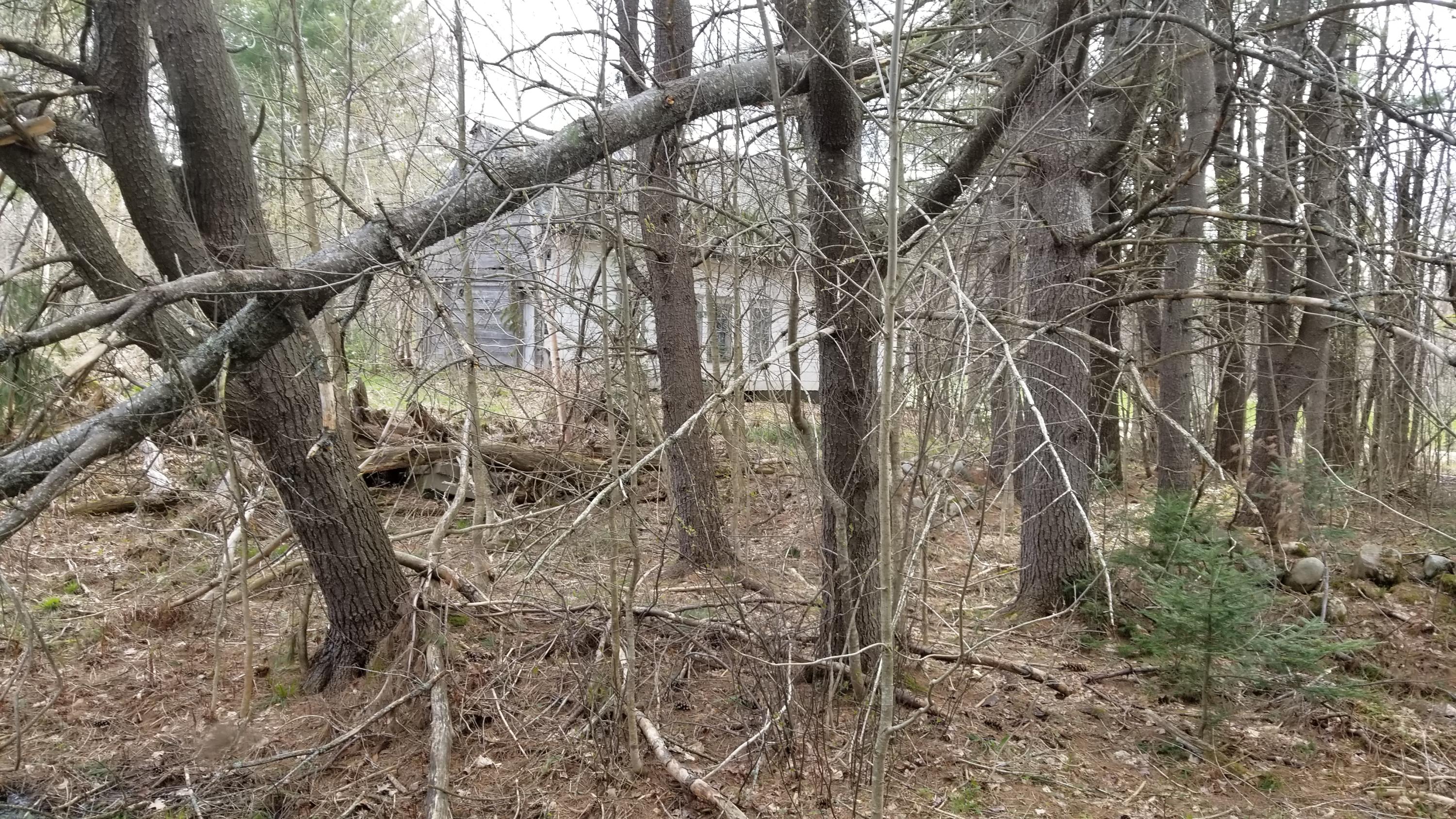 441 Church Street Canton, ME 04221 - Photo 9 of 20 20200508_165708