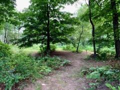 35 River Road New Portland, ME 04961 - Photo 40 of 41 Walking Trails Behind Home