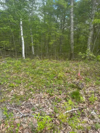 $20,000 | Lot 7 Unionville Road, Steuben, ME 04680