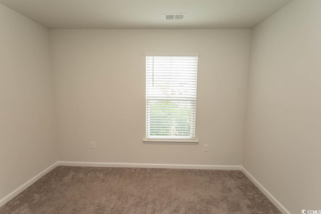 1544 Jardine Loop Little River, SC 29566 - Photo 28 of 39