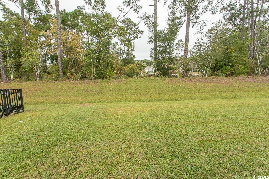 1544 Jardine Loop Little River, SC 29566 - Photo 34 of 39