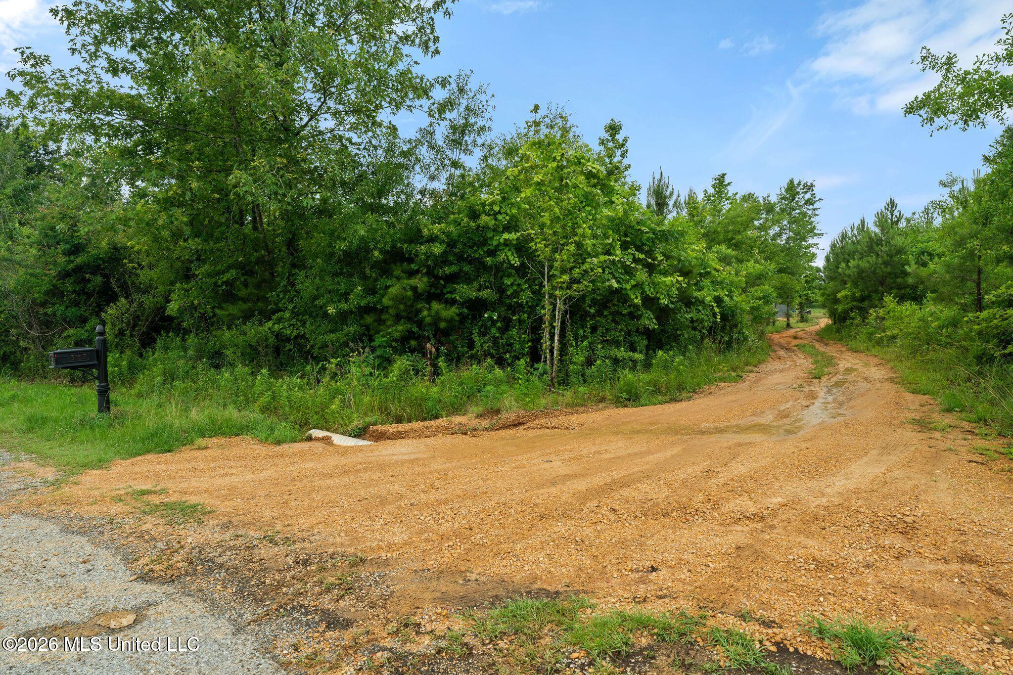 3167 Northeast Bahalia Road Wesson, MS 39191 - Photo 3 of 37 3167_Bahalia_Road_Northeast-3