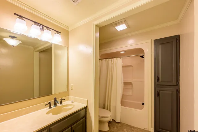 a bathroom with a shower sink vanity and mirror