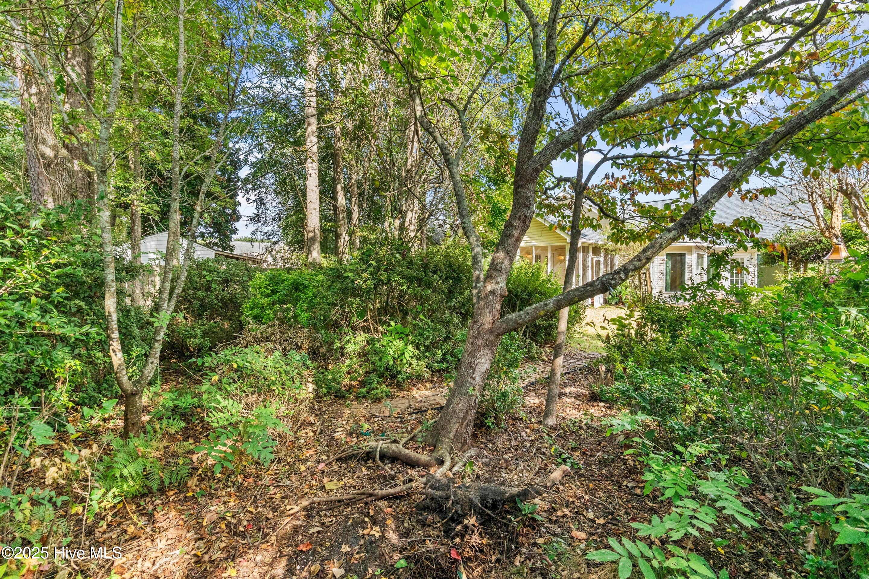 5107 Long Pointe Road Wilmington, NC 28409 - Photo 43 of 48 mls-DSC01240