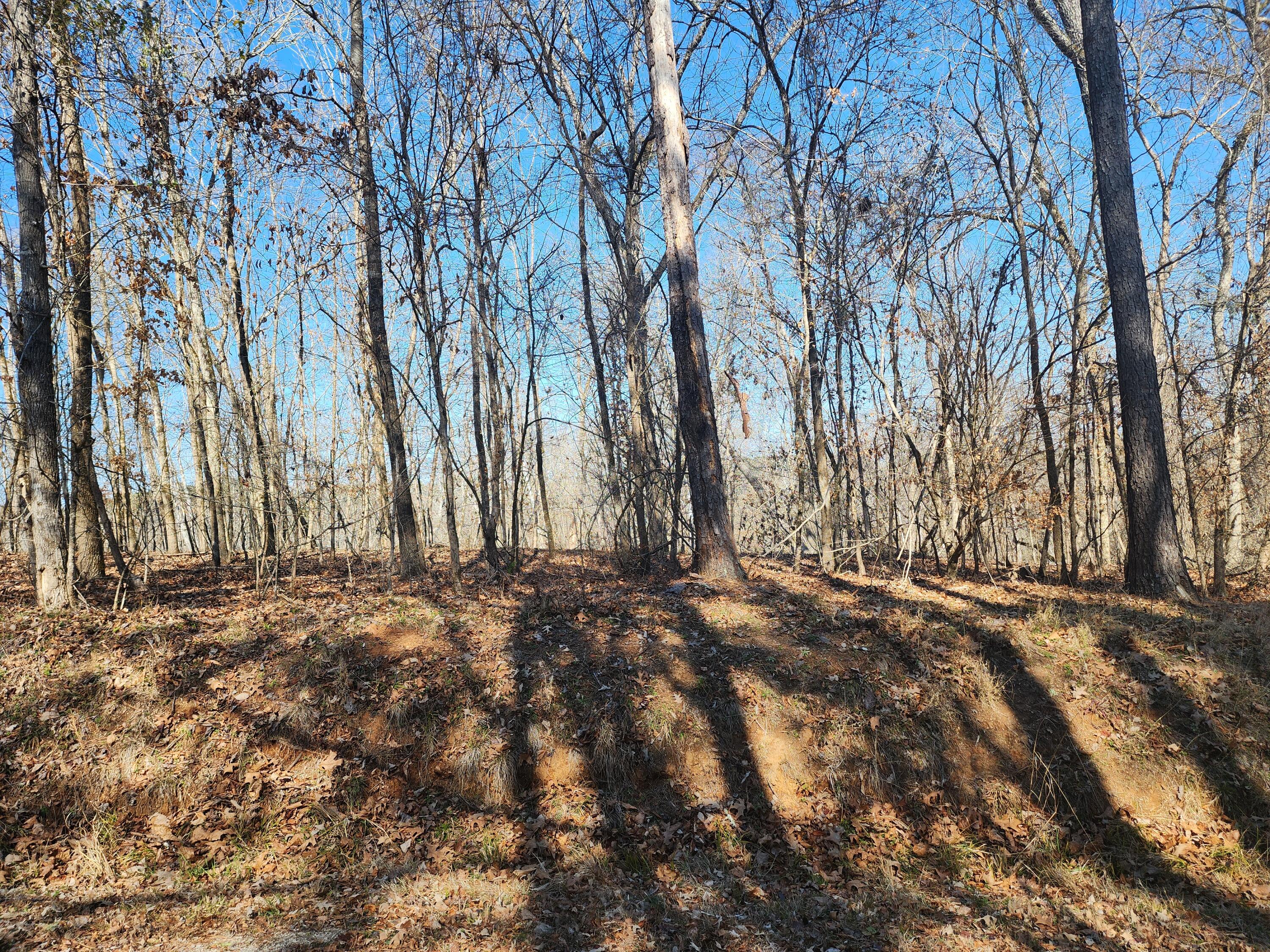 262 Goose Road Clarks Hill, SC 29821 - Photo 2 of 2 1000015408