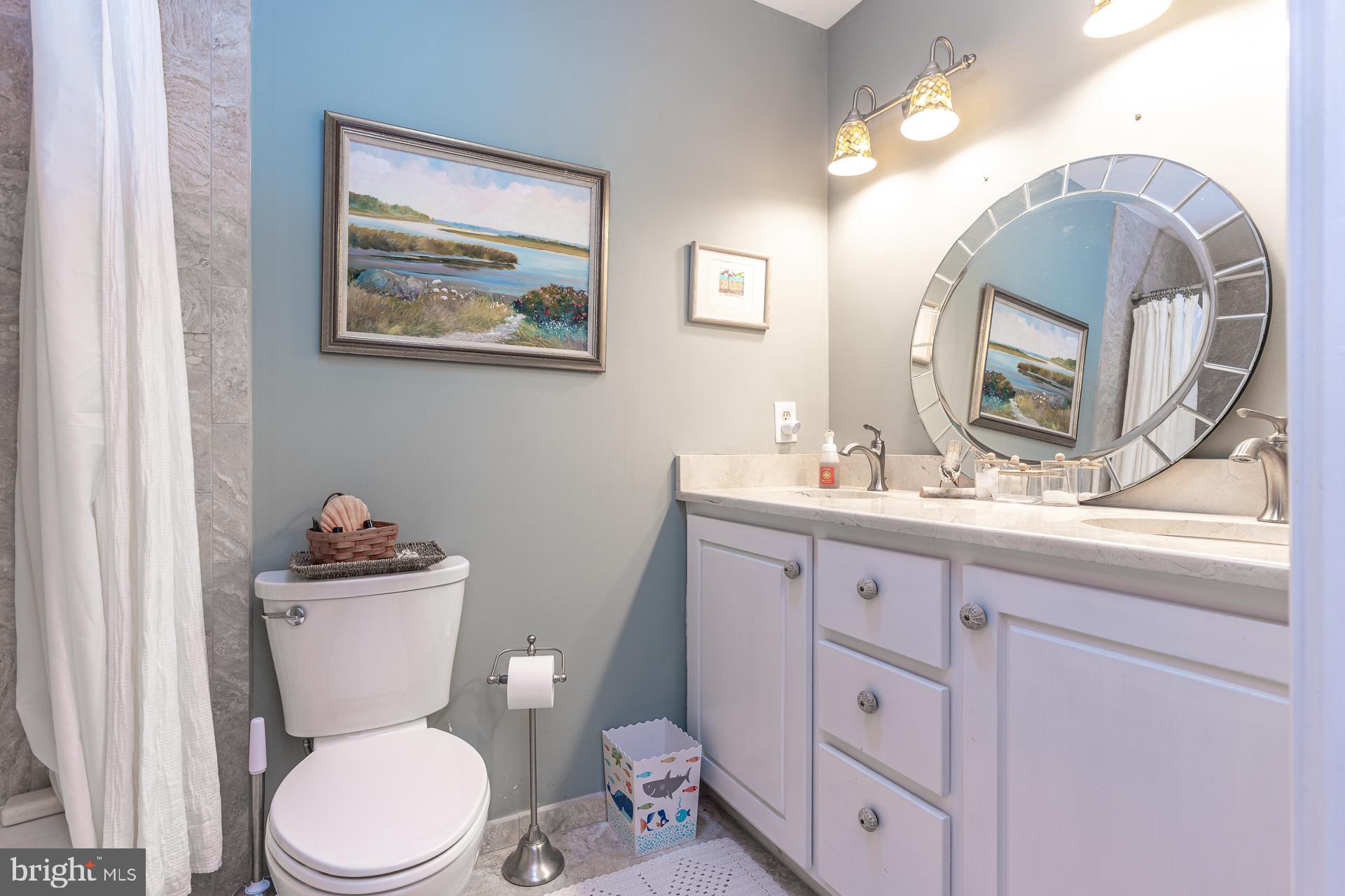 820 Waverly Road Kennett Square, PA 19348 - Photo 33 of 46 a bathroom with a toilet a sink a mirror and a shower