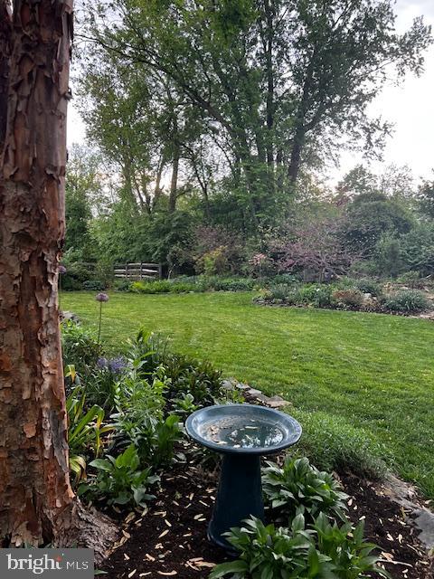 820 Waverly Road Kennett Square, PA 19348 - Photo 42 of 46 a view of a backyard with a fountain plants and large trees