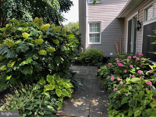 820 Waverly Road Kennett Square, PA 19348 - Photo 45 of 46 a flower plants in front of a house