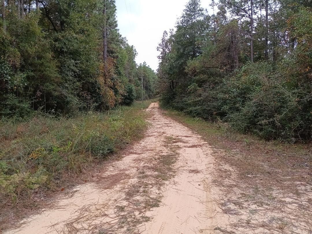 0 Sibley Creek Road Daphne, AL 36527 - Photo 1 of 10 Community