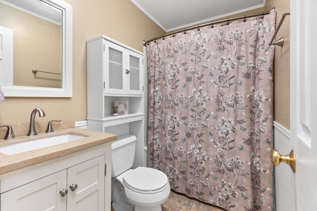 1052 Dutch Hollow Road Raphine, VA 24472 - Photo 17 of 46 a bathroom with a granite countertop toilet sink and mirror