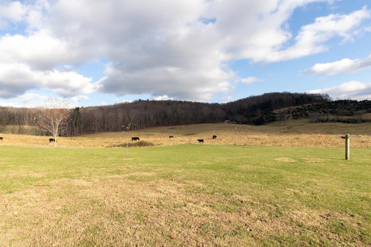 1052 Dutch Hollow Road Raphine, VA 24472 - Photo 41 of 46