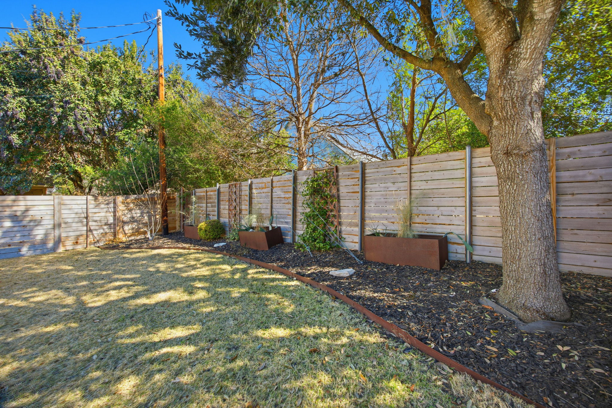 3521 Marcae Court Austin, TX 78704 - Photo 3 of 37 View of fenced backyard