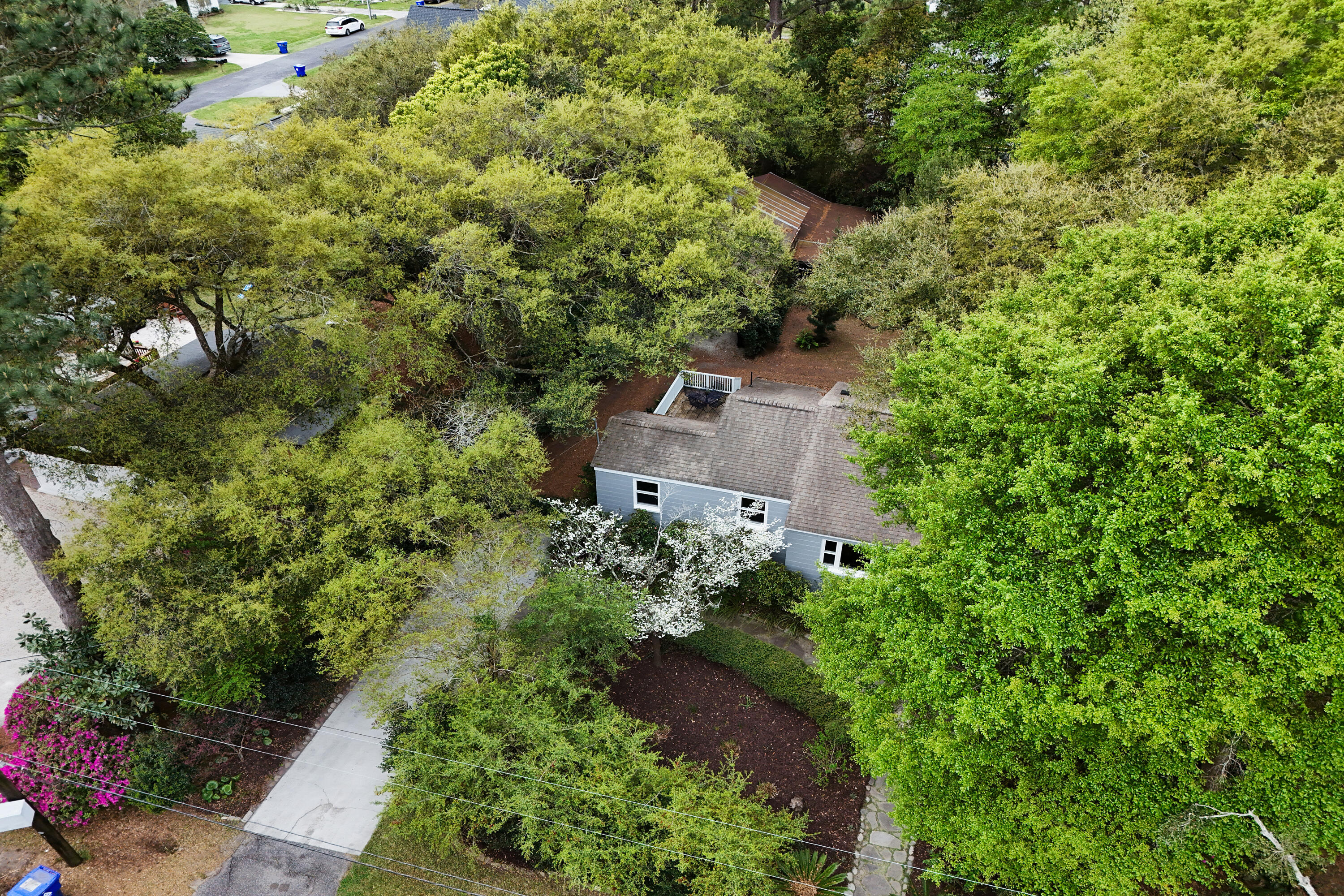 311 Cassina Road Charleston, SC 29407 - Photo 37 of 49 Aerial