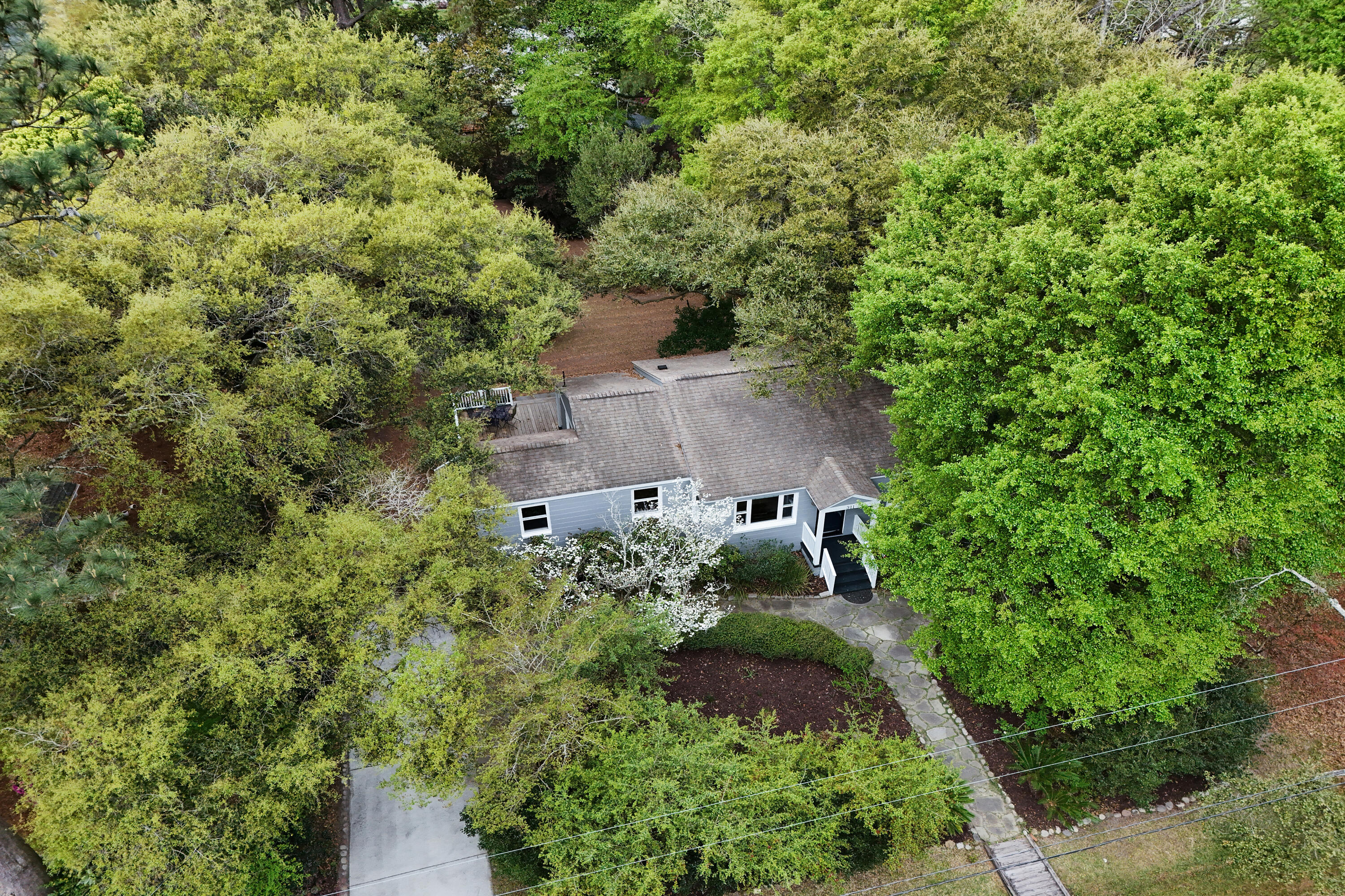 311 Cassina Road Charleston, SC 29407 - Photo 38 of 49 Aerial