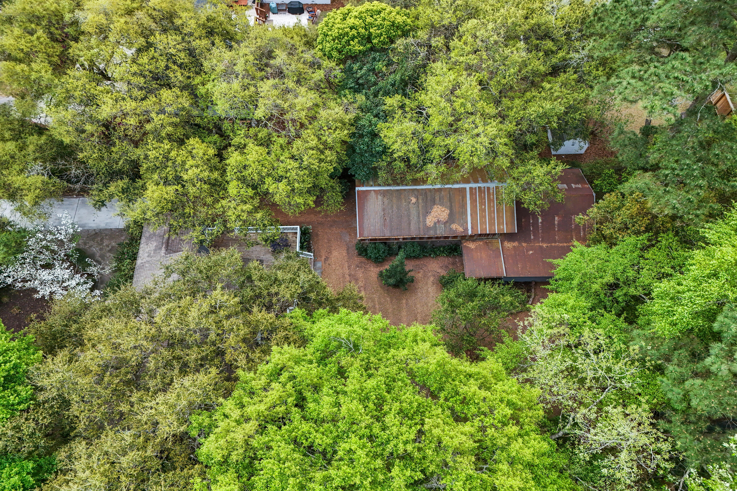 311 Cassina Road Charleston, SC 29407 - Photo 40 of 49 Aerial