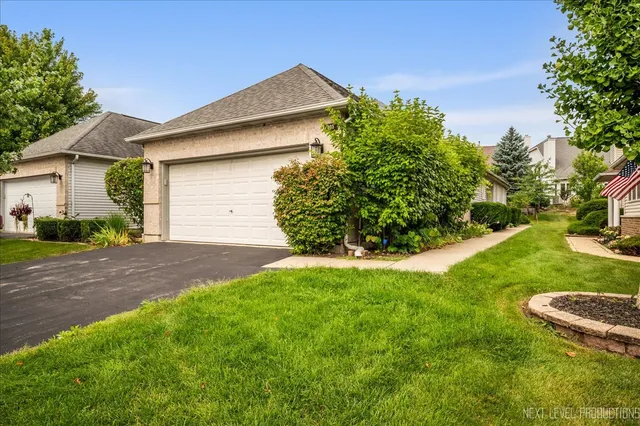 a view of a backyard with plants and a garden