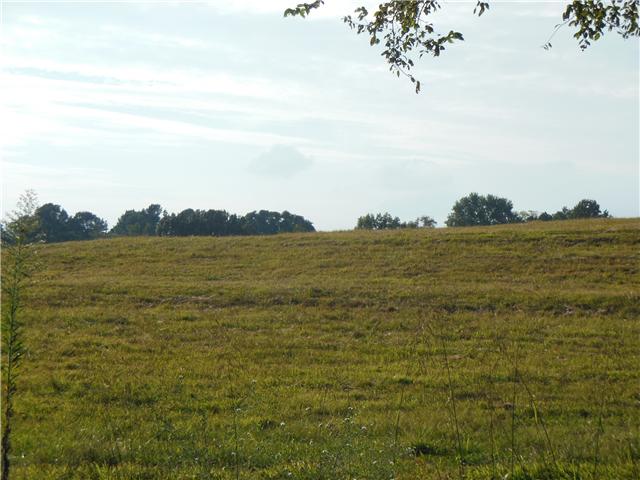 0 Airport Road Springfield, TN 37172 - Photo 3 of 9 This is the view from Airport Rd, the land goes up and over the hill