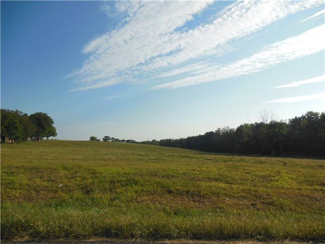0 Airport Road Springfield, TN 37172 - Photo 5 of 9 From Old Kinneys School looking way up the hill.