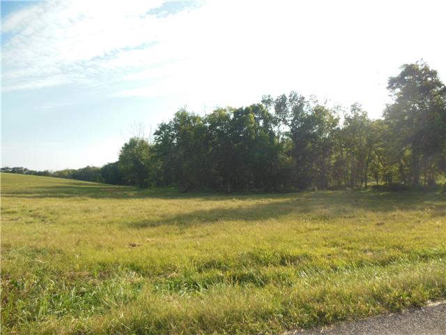 0 Airport Road Springfield, TN 37172 - Photo 8 of 9 Looking down toward the creek