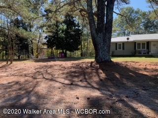 426 Johnsey Road Jasper, AL 35504 - Photo 3 of 19 Gallery Image 3