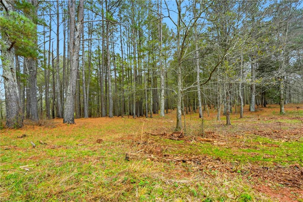 1295 Double Bridges Road Winder, GA 30680 - Photo 47 of 57 a view of a yard with trees