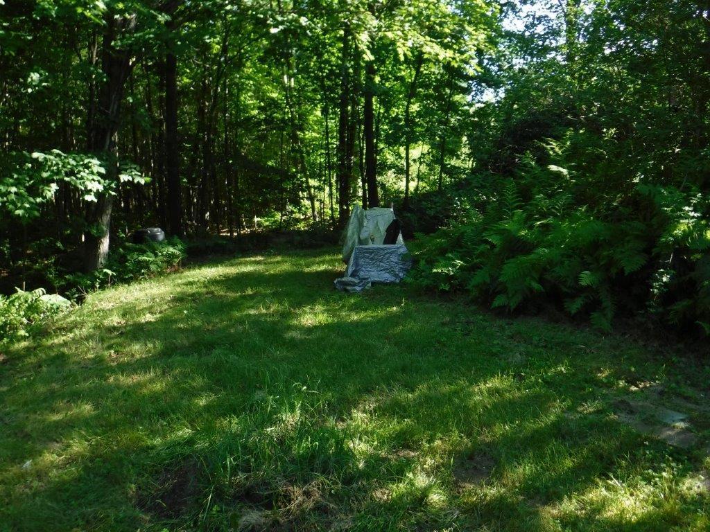 137 Auburn Road Peru, ME 04290 - Photo 21 of 23 22. back yard
