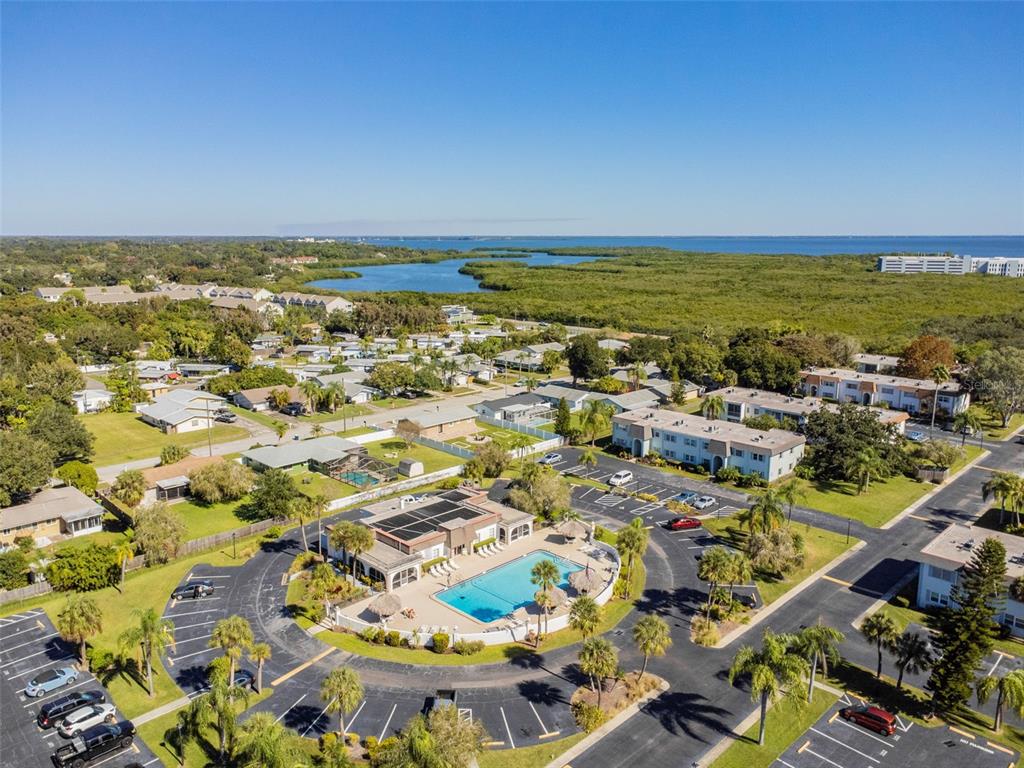 239 South McMullen Booth Road, Unit 37 Clearwater, FL 33759 - Photo 29 of 35