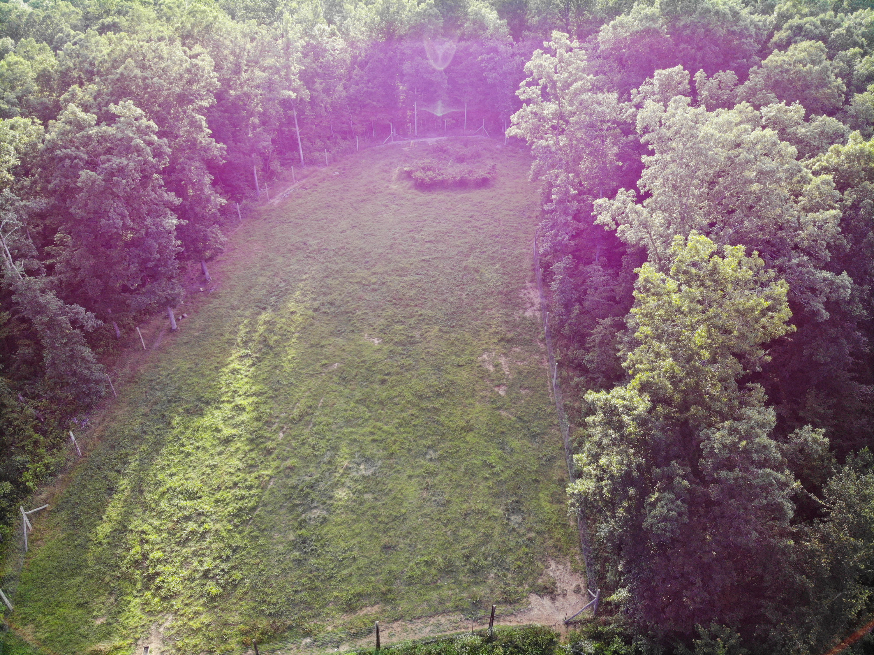 670 Buffalo Road Annville, KY 40402 - Photo 64 of 80 DJI_0808
