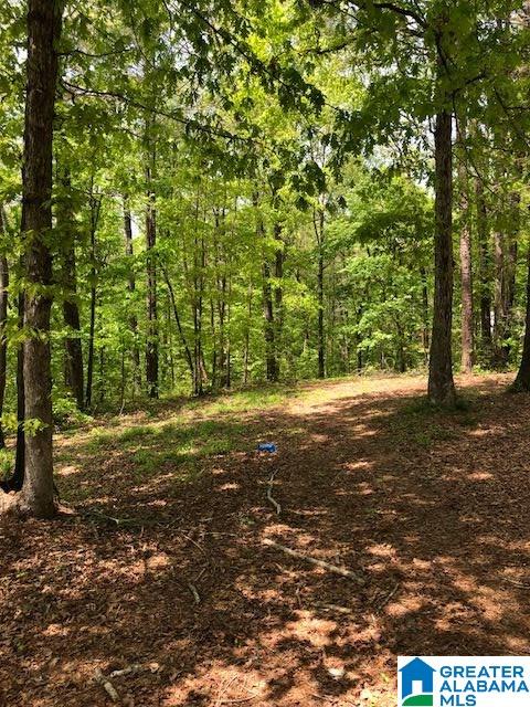 443 Old Pineywoods Road Jasper, AL 35504 - Photo 1 of 2