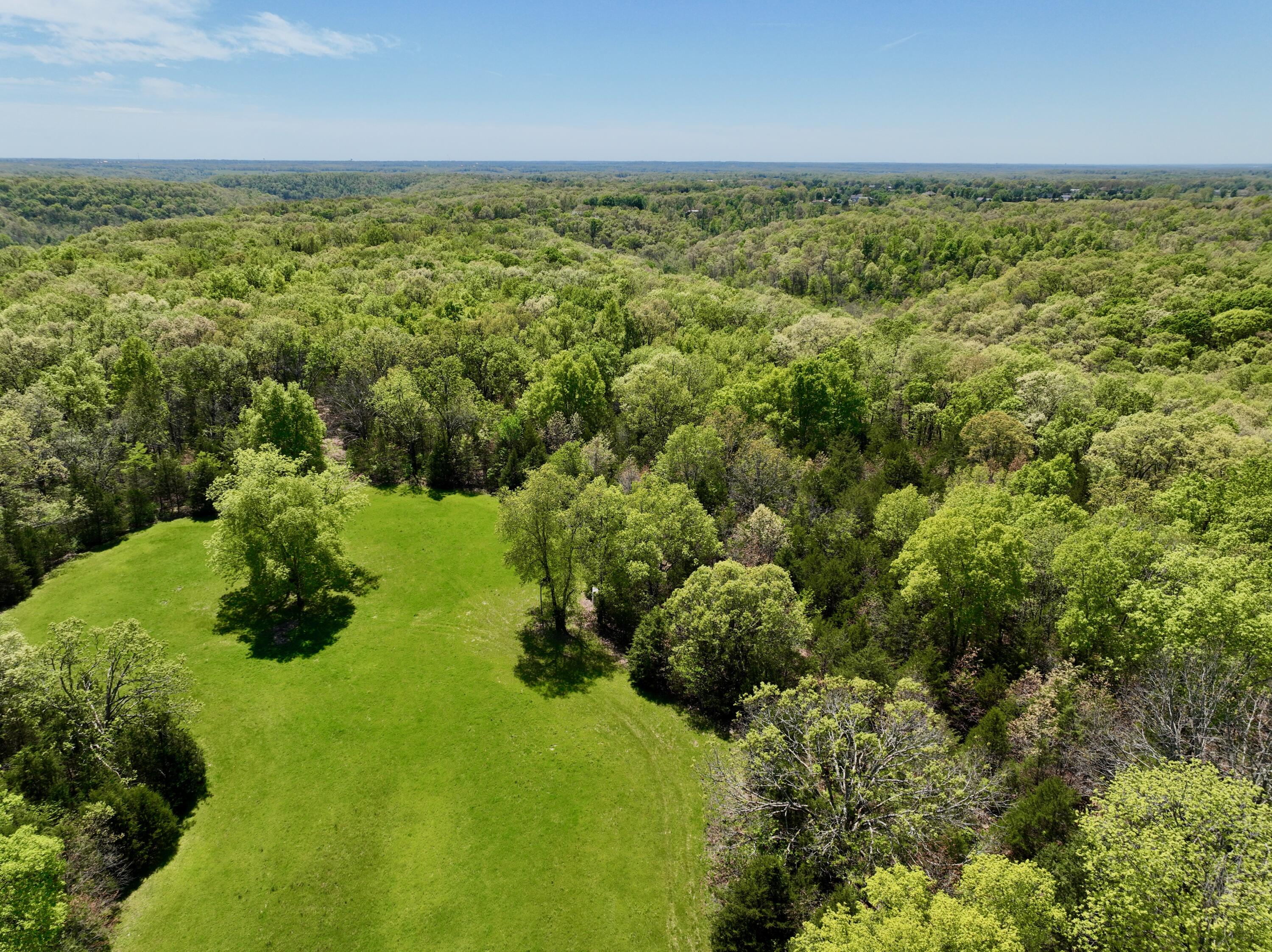 0 Corner Road Rogersville, MO 65742 - Photo 16 of 19 DJI_0454