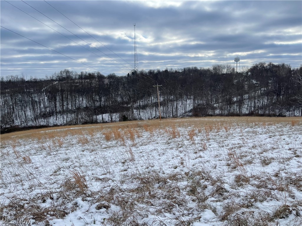 Sandy Lane Chesterhill, OH 43728 - Photo 4 of 15