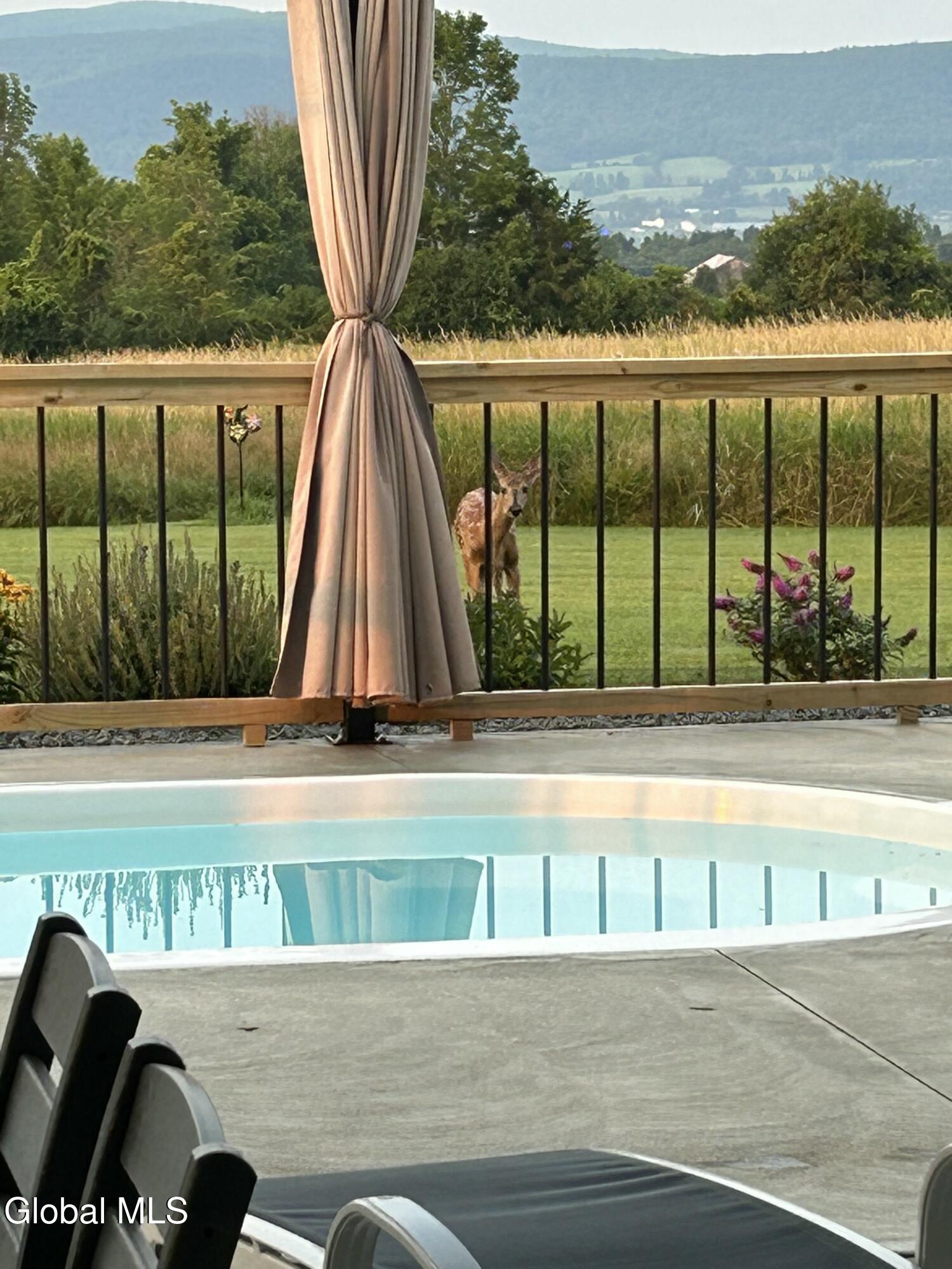 1232 Barton Hill Road Schoharie, NY 12157 - Photo 23 of 47 IMG_1529