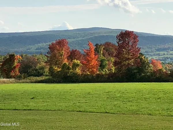 $435,000 | 1232 Barton Hill Road, Schoharie, NY 12157