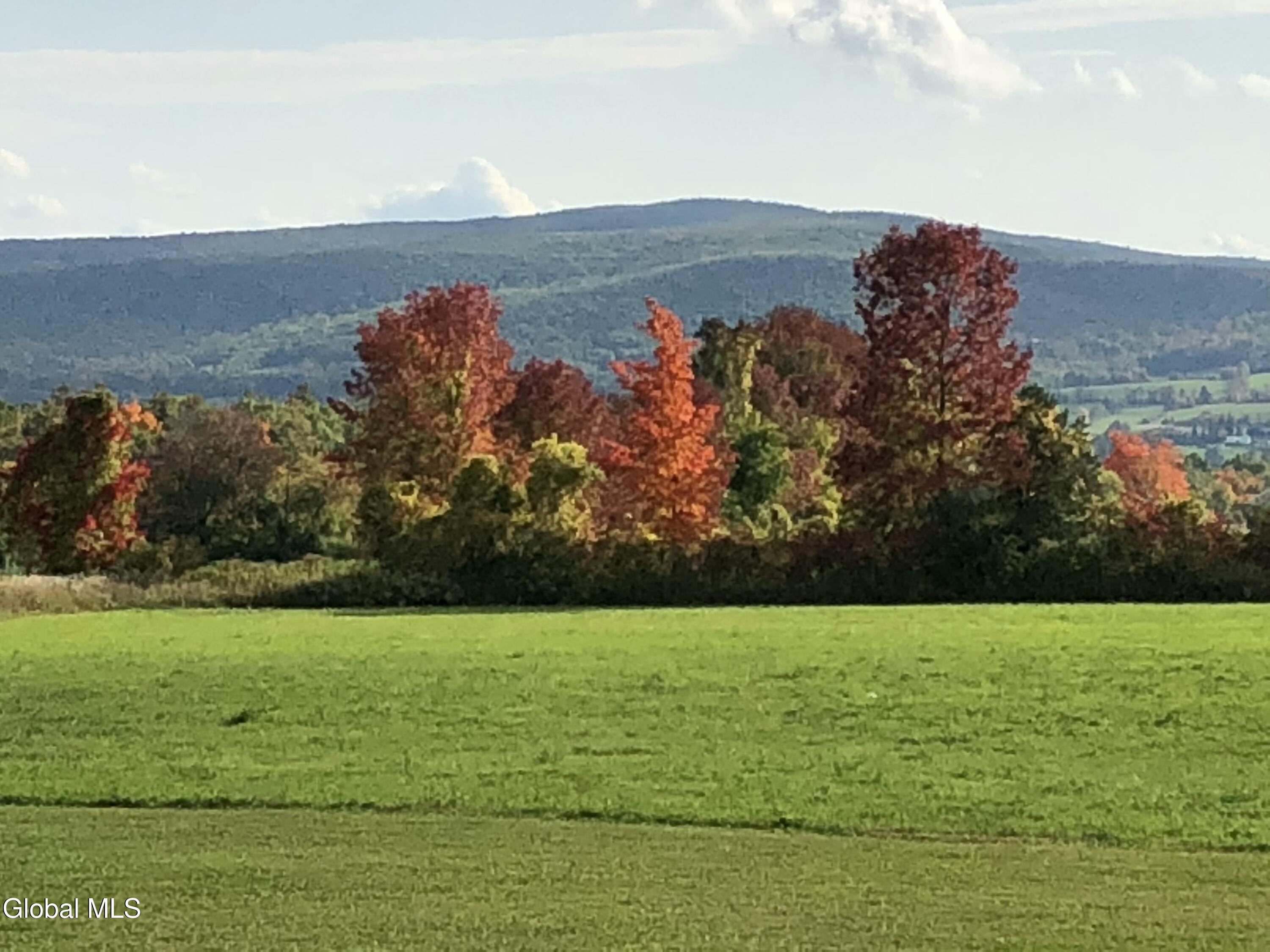 1232 Barton Hill Road Schoharie, NY 12157 - Photo 39 of 47 IMG_1536 (1)