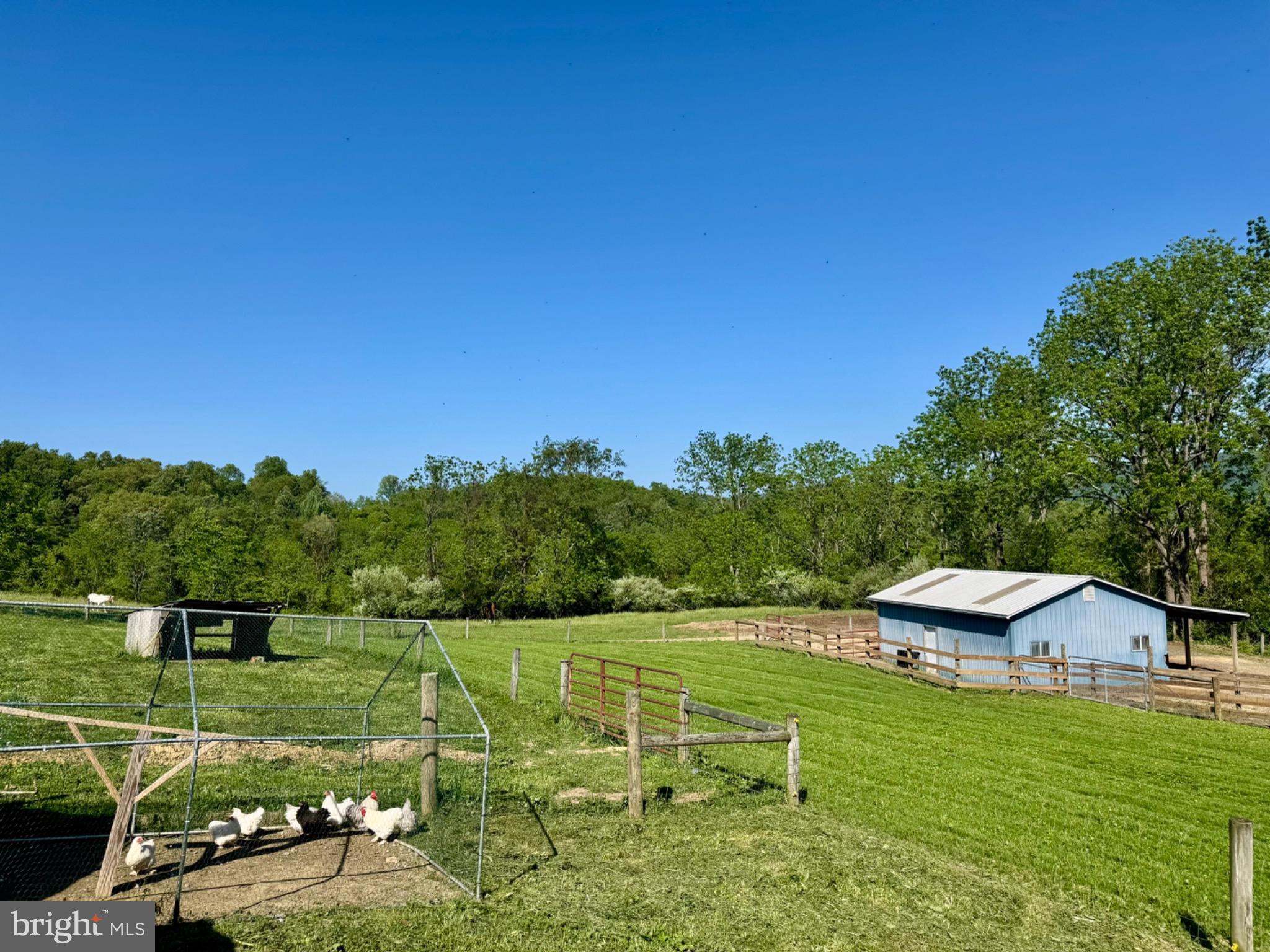 11698 Chaney Spring Road Huntingdon, PA 16652 - Photo 81 of 96